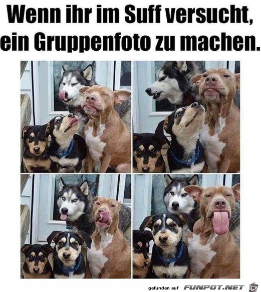 Lustiges Gruppenfoto