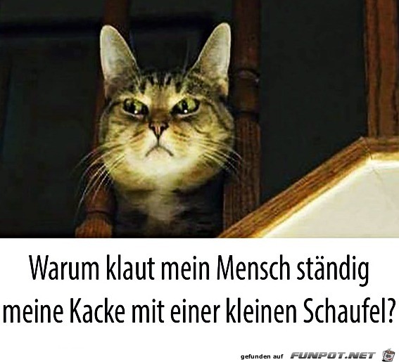 Der Mensch mit der kleinen Schaufel