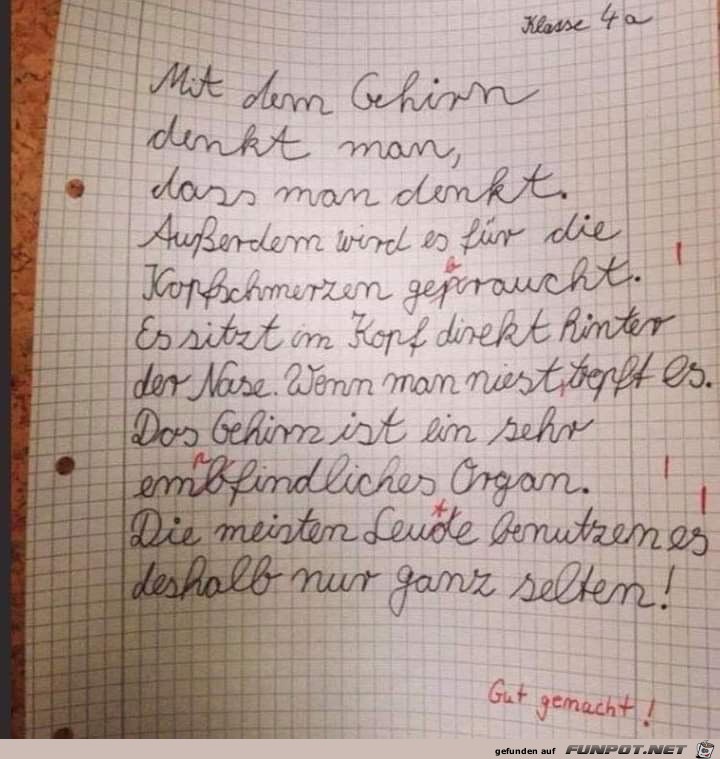 ein Kinderaufsatz ber das Gehirn