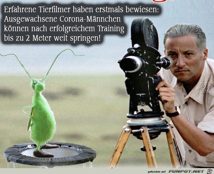 Erfahrene Tierfilmer