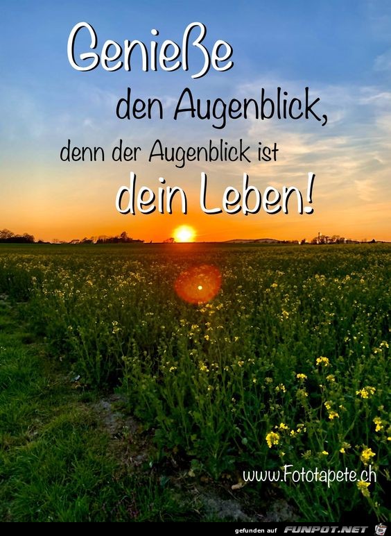 Geniesse den Augenblick