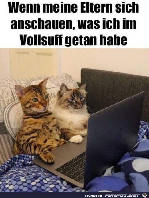 Wenn meine Eltern in den Laptop gucken