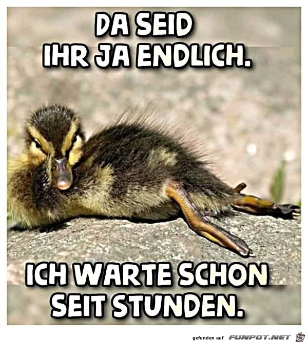 Ihr seid ja endlich da