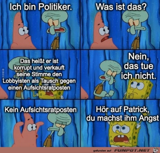 Ich bin Politiker