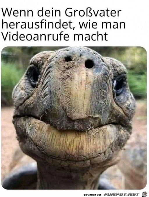 Opa beim Videoanruf