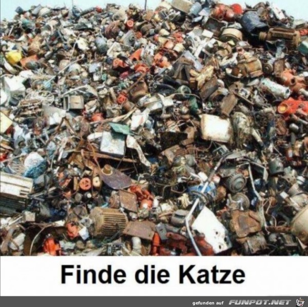 Finde die Katze