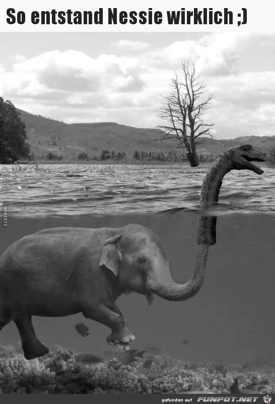 So entstand NESSIE