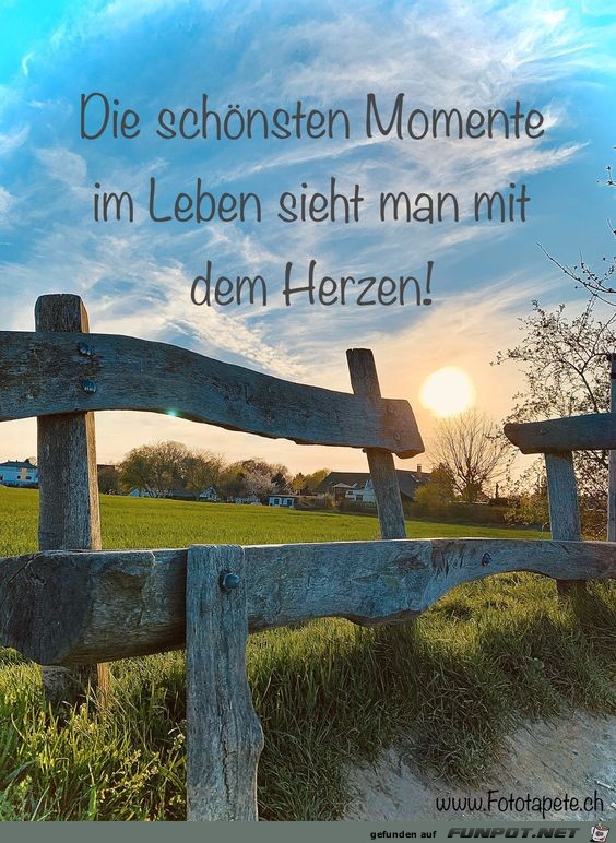 Die schoensten Momente