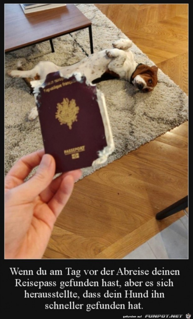 Dein Hund hat deinen Pass gefunden