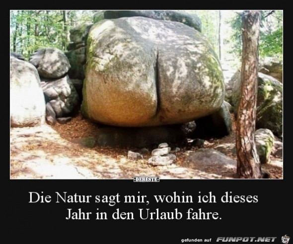 Die Natur sagt mir