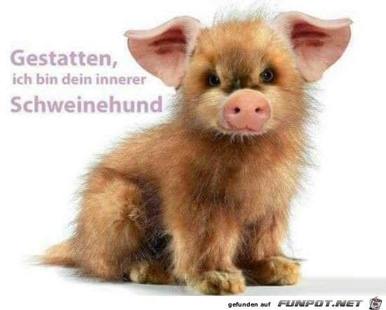 Der innere Schweinehund