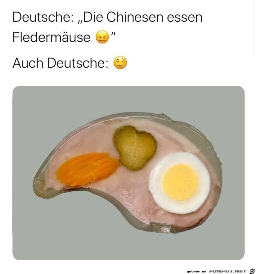 witzige Bilder aus verschiedenen Blogs