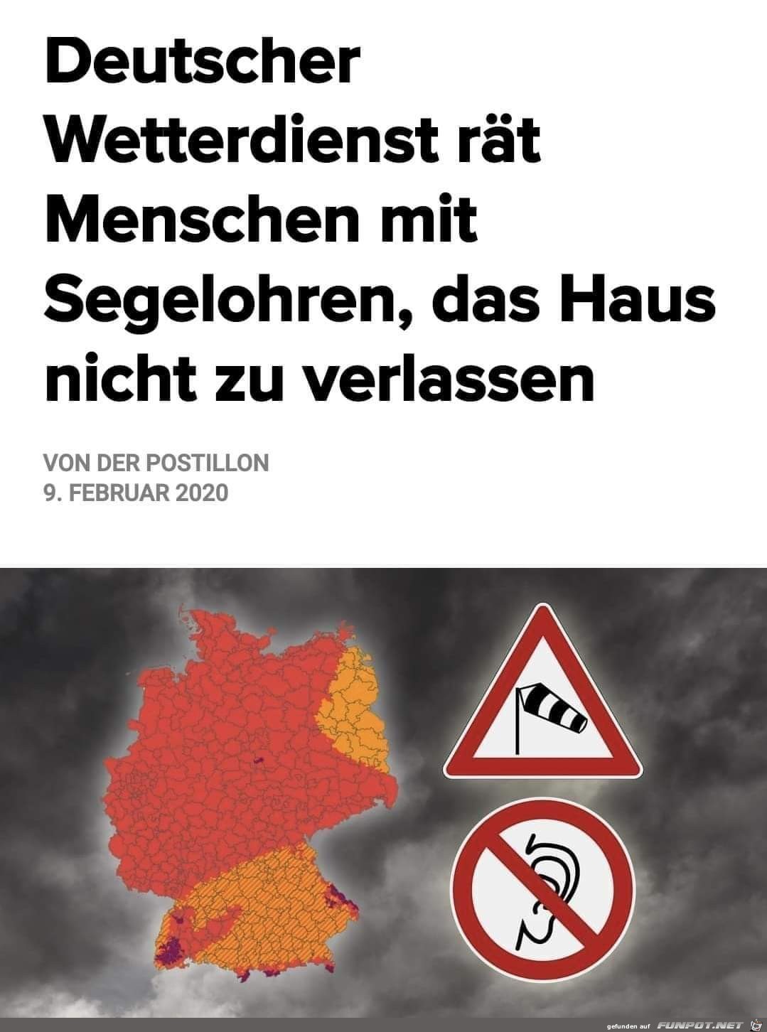 Segelohren Segelohren