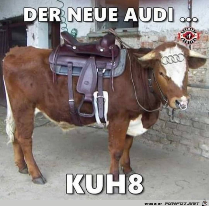 neuer Audi