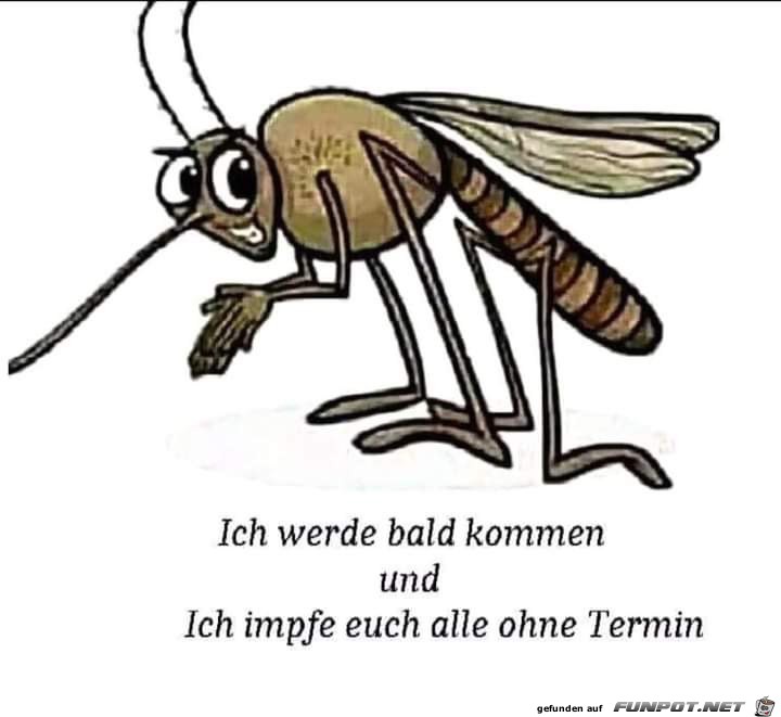 Ich komme bald