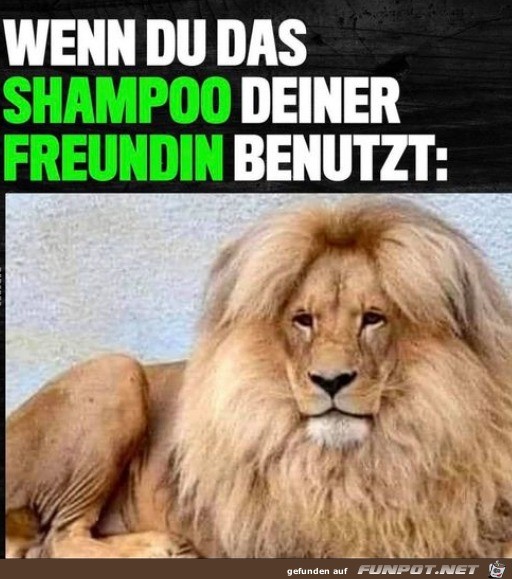 Neues Shampoo bentzt