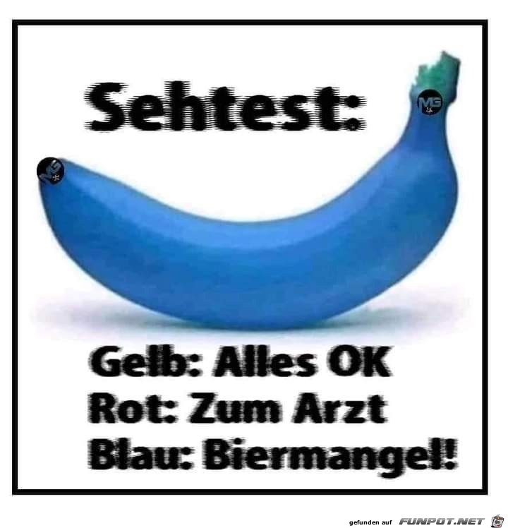 Toller Sehtest