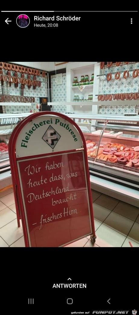 Hirn im Angebot