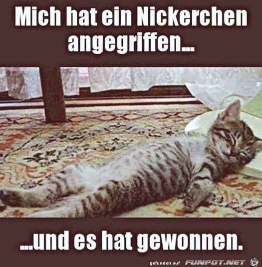 Nickerchen ist schn