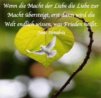 Wenn die Macht der Liebe