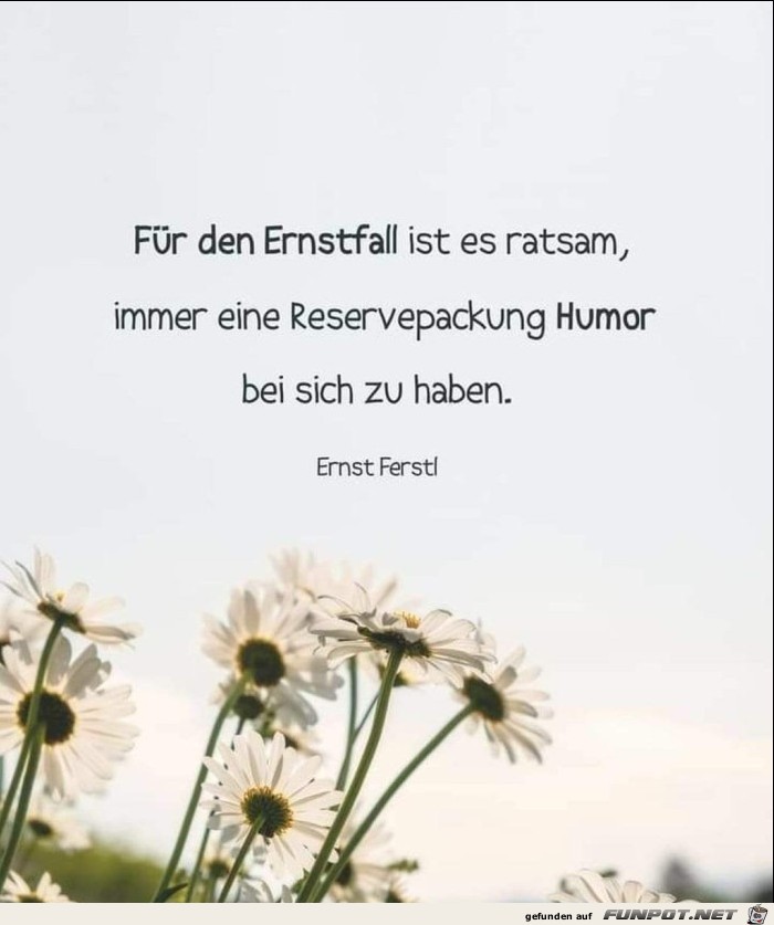 Fuer den Ernstfall