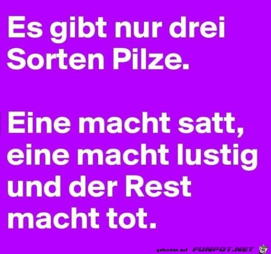 Drei Sorten Pilze