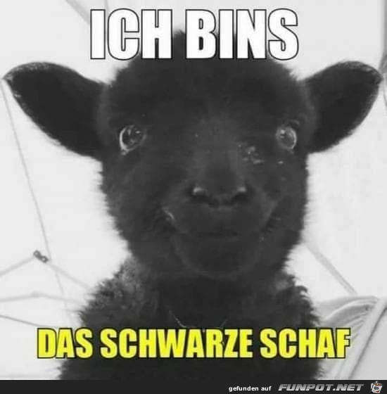 Ich bins