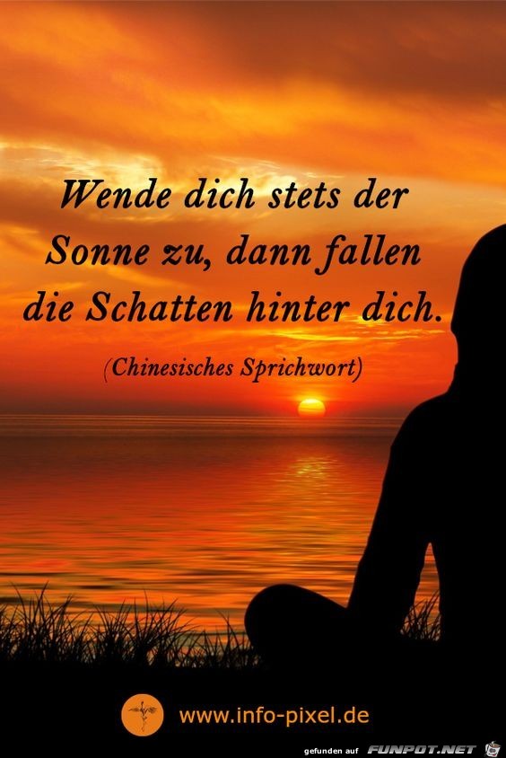 Wende dich stehts der Sonne zu