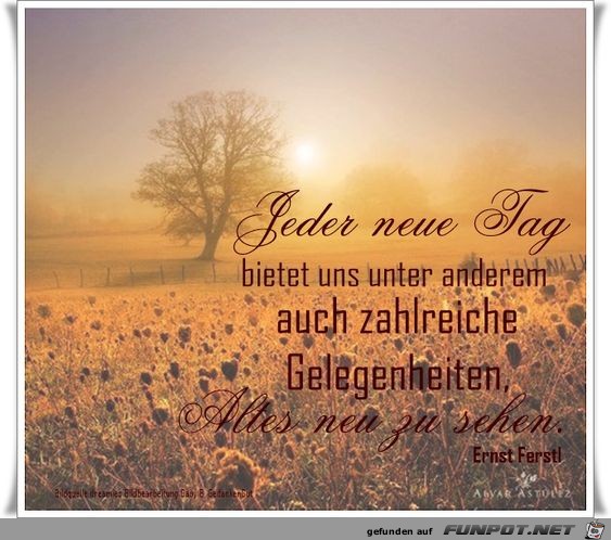 Jeder neue Tag Jeder neue Tag