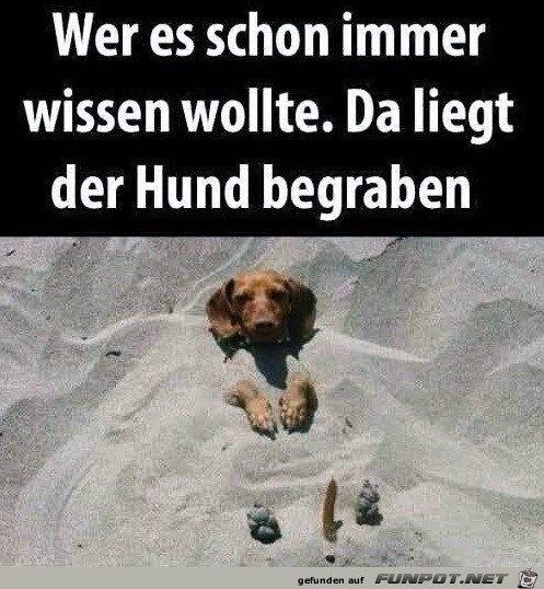 Da liegt der Hund begraben