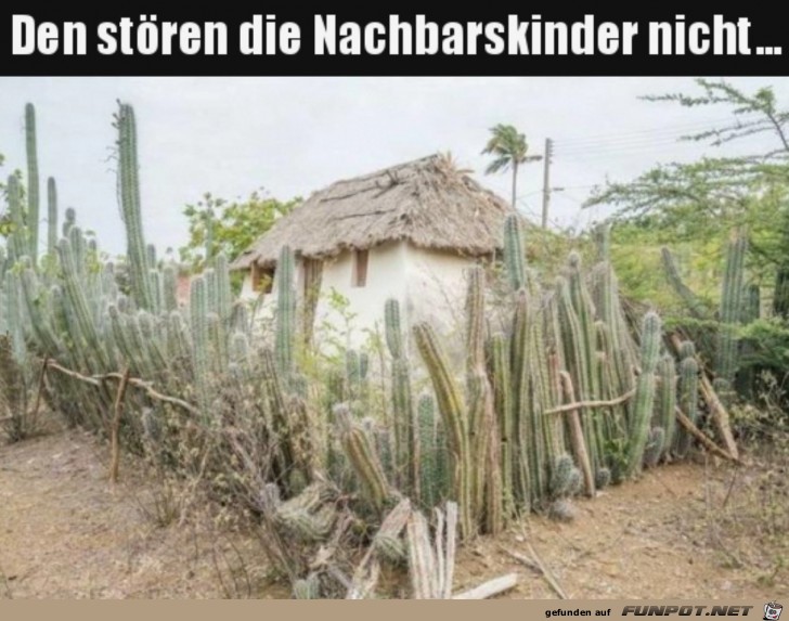 Kein Problem mit den Nachbarn