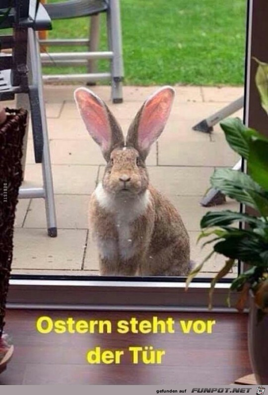 Ostern steht vor der Tr