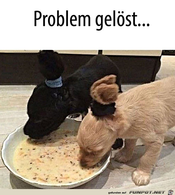 Problem gelst