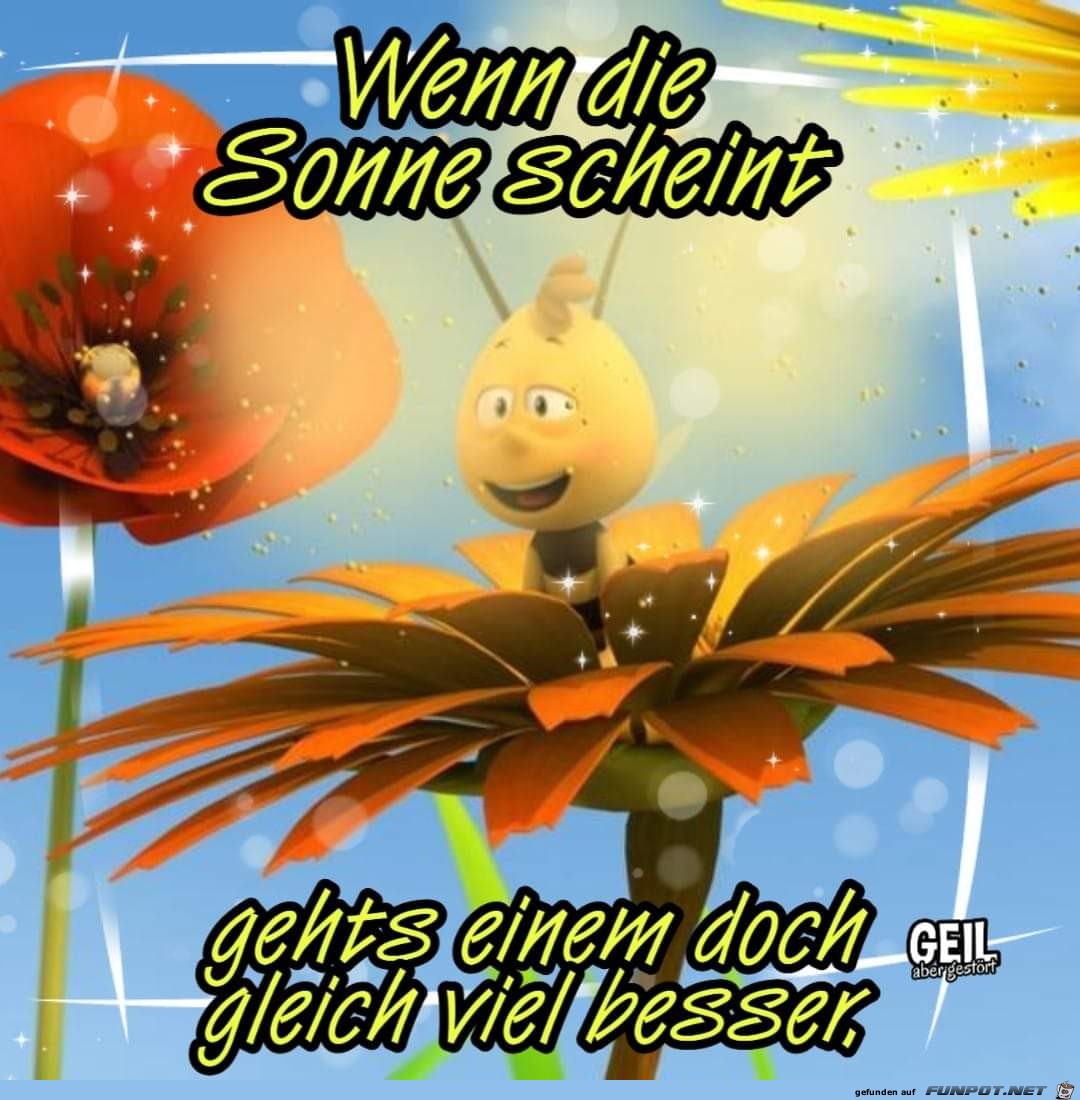 Sonne