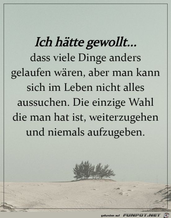 Ich haette gewollt