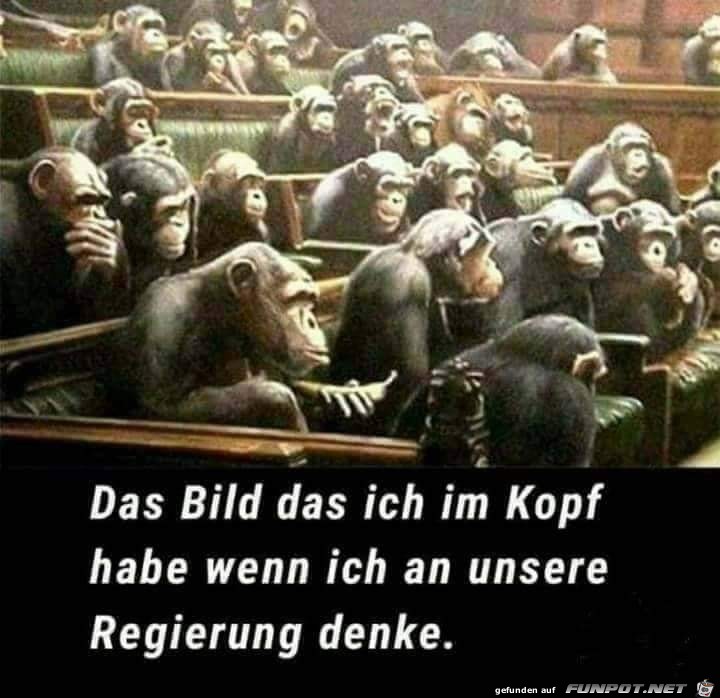 Regierung