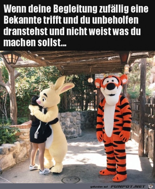 Wenn deine Begleitung