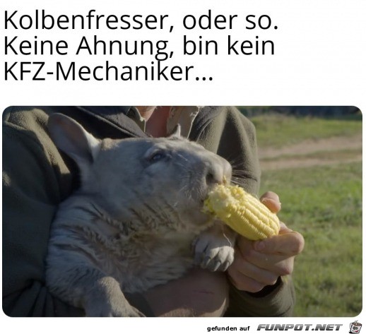 Ein Kolbenfresser