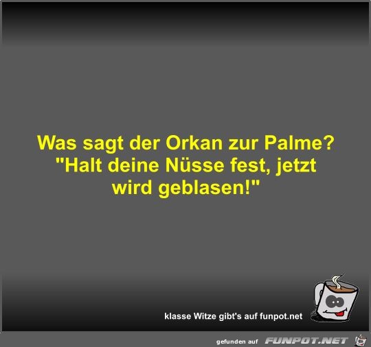 Was sagt der Orkan zur Palme?