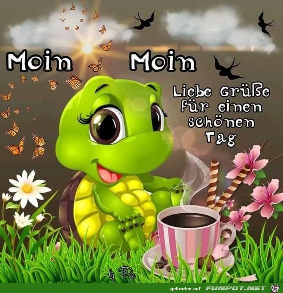 Moin Moin