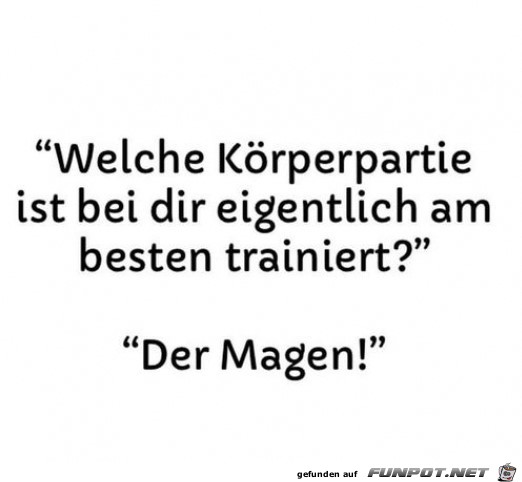 Der Magen