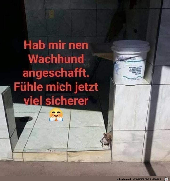 Neuer Wachhund