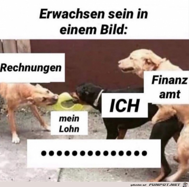 Erwachsen sein