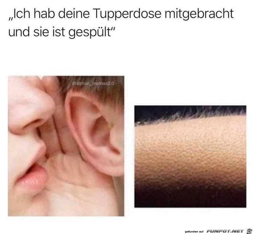 Tupperdose ist gesplt