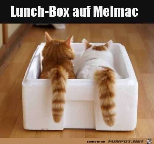 Lunchbox von Alf