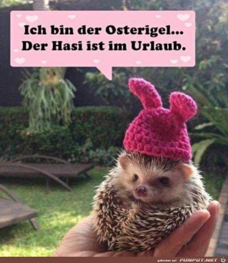 Ein Oster-Igel