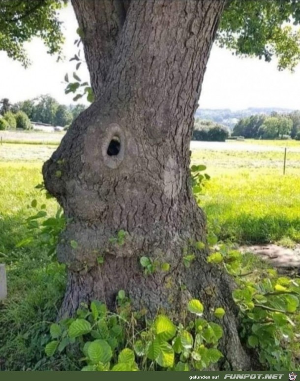 Osterhasen-Baum