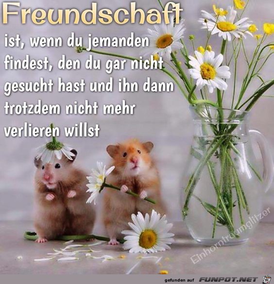 Freundschaft ist