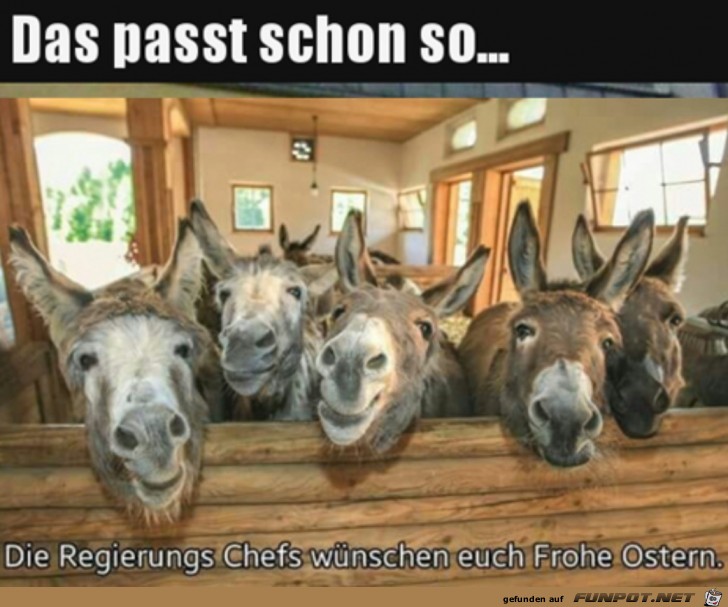 Die Regierung wnscht frohe Ostern