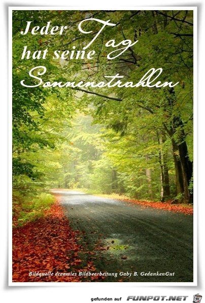 Jeder Tag Jeder Tag